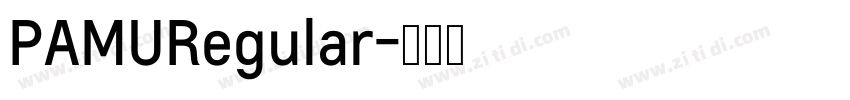 PAMURegular字体转换