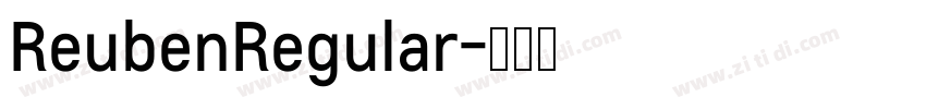 ReubenRegular字体转换