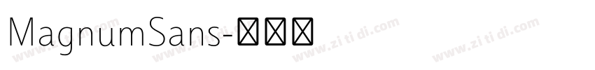MagnumSans字体转换