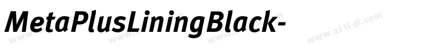 MetaPlusLiningBlack字体转换