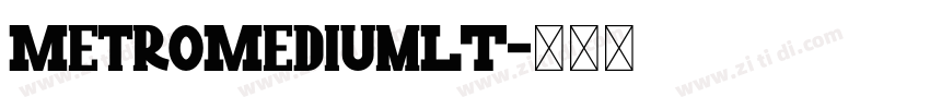 MetroMediumLT字体转换