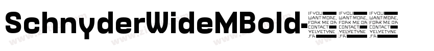 SchnyderWideMBold字体转换