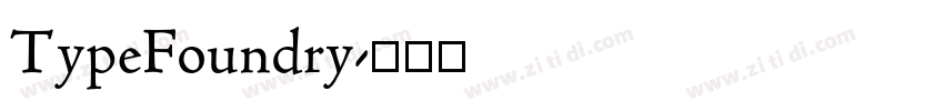 TypeFoundry字体转换
