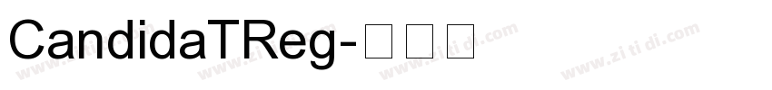 CandidaTReg字体转换