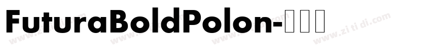 FuturaBoldPolon字体转换