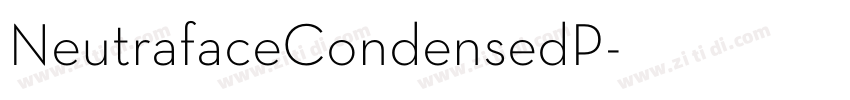 NeutrafaceCondensedP字体转换