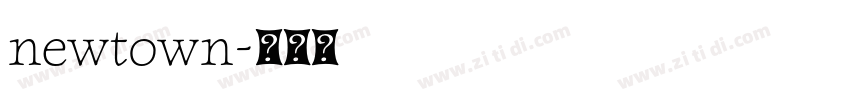newtown字体转换
