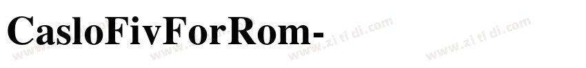 CasloFivForRom字体转换