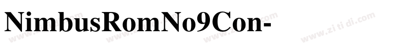 NimbusRomNo9Con字体转换