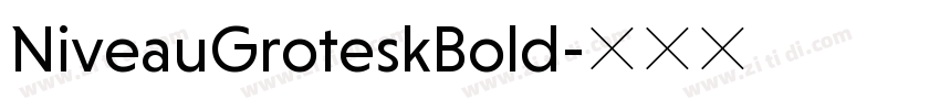NiveauGroteskBold字体转换