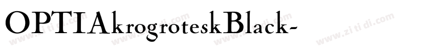 OPTIAkrogroteskBlack字体转换