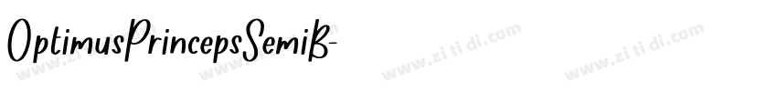 OptimusPrincepsSemiB字体转换