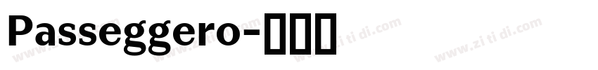 Passeggero字体转换