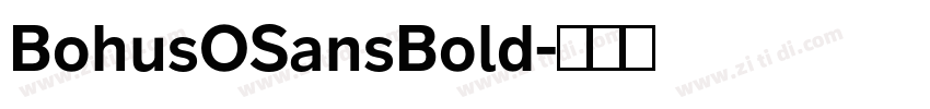 BohusOSansBold字体转换
