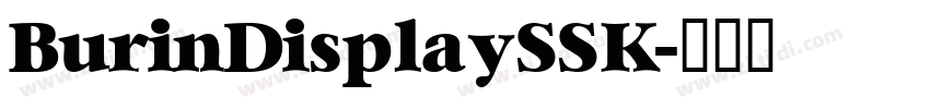 BurinDisplaySSK字体转换