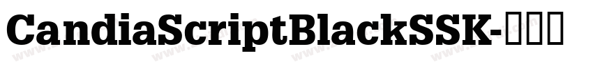 CandiaScriptBlackSSK字体转换