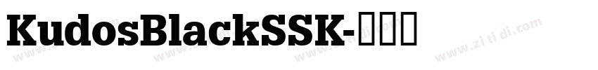 KudosBlackSSK字体转换