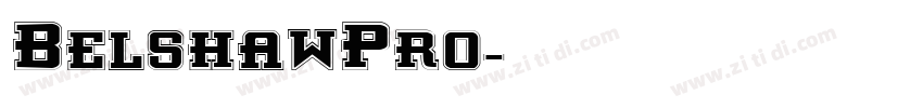 BelshawPro字体转换