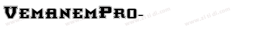 VemanemPro字体转换