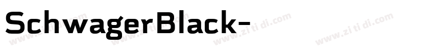 SchwagerBlack字体转换