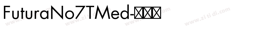 FuturaNo7TMed字体转换