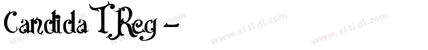 CandidaTReg字体转换