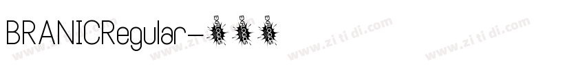 BRANICRegular字体转换