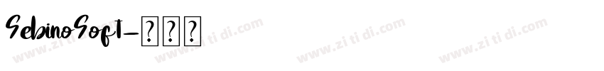 SebinoSoft字体转换