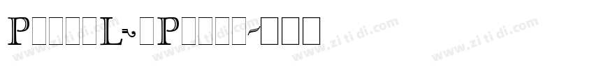 PartyLetPlain字体转换