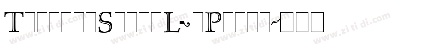 TirantiSolidLetPlain字体转换