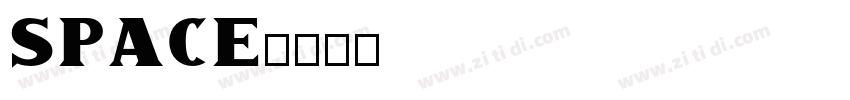 space字体转换
