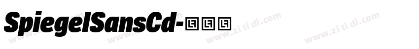 SpiegelSansCd字体转换 SpiegelSansCd字体转换