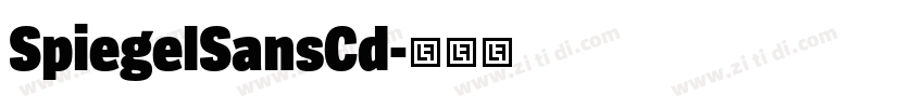 SpiegelSansCd字体转换 SpiegelSansCd字体转换