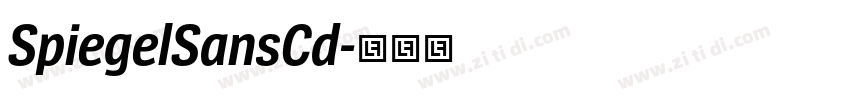 SpiegelSansCd字体转换 SpiegelSansCd字体转换