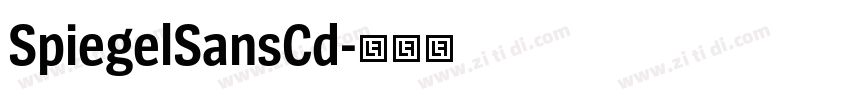 SpiegelSansCd字体转换 SpiegelSansCd字体转换