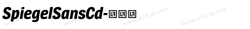 SpiegelSansCd字体转换 SpiegelSansCd字体转换