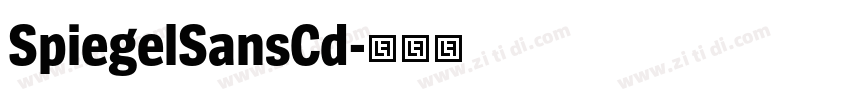 SpiegelSansCd字体转换 SpiegelSansCd字体转换