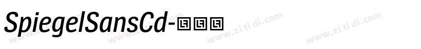 SpiegelSansCd字体转换 SpiegelSansCd字体转换