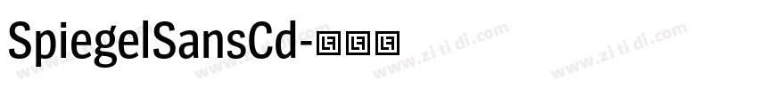 SpiegelSansCd字体转换 SpiegelSansCd字体转换
