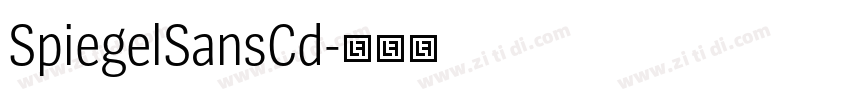 SpiegelSansCd字体转换 SpiegelSansCd字体转换