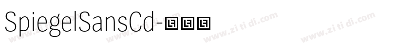 SpiegelSansCd字体转换 SpiegelSansCd字体转换