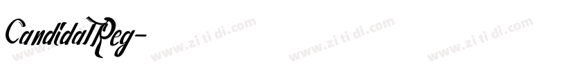 CandidaTReg字体转换