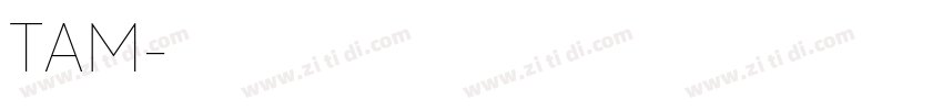 TA優美筆ＲM字体转换