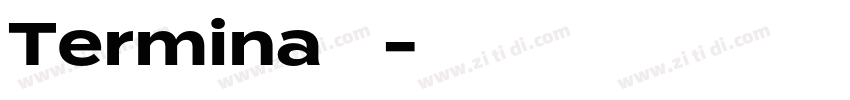 Termina字体字体转换