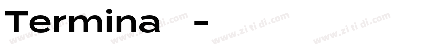 Termina字体字体转换