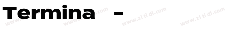 Termina字体字体转换