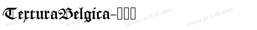 TexturaBelgica字体转换