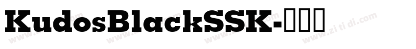 KudosBlackSSK字体转换
