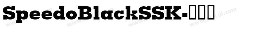 SpeedoBlackSSK字体转换