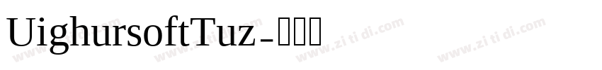 UighursoftTuz字体转换